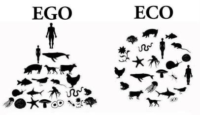 EGO